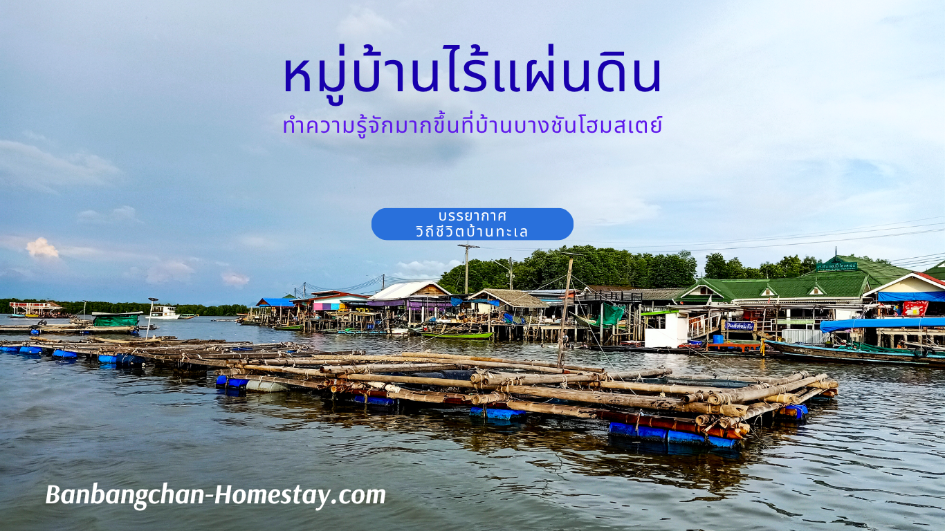 ALBUM รวมความชิล ความสนุก ความสุข