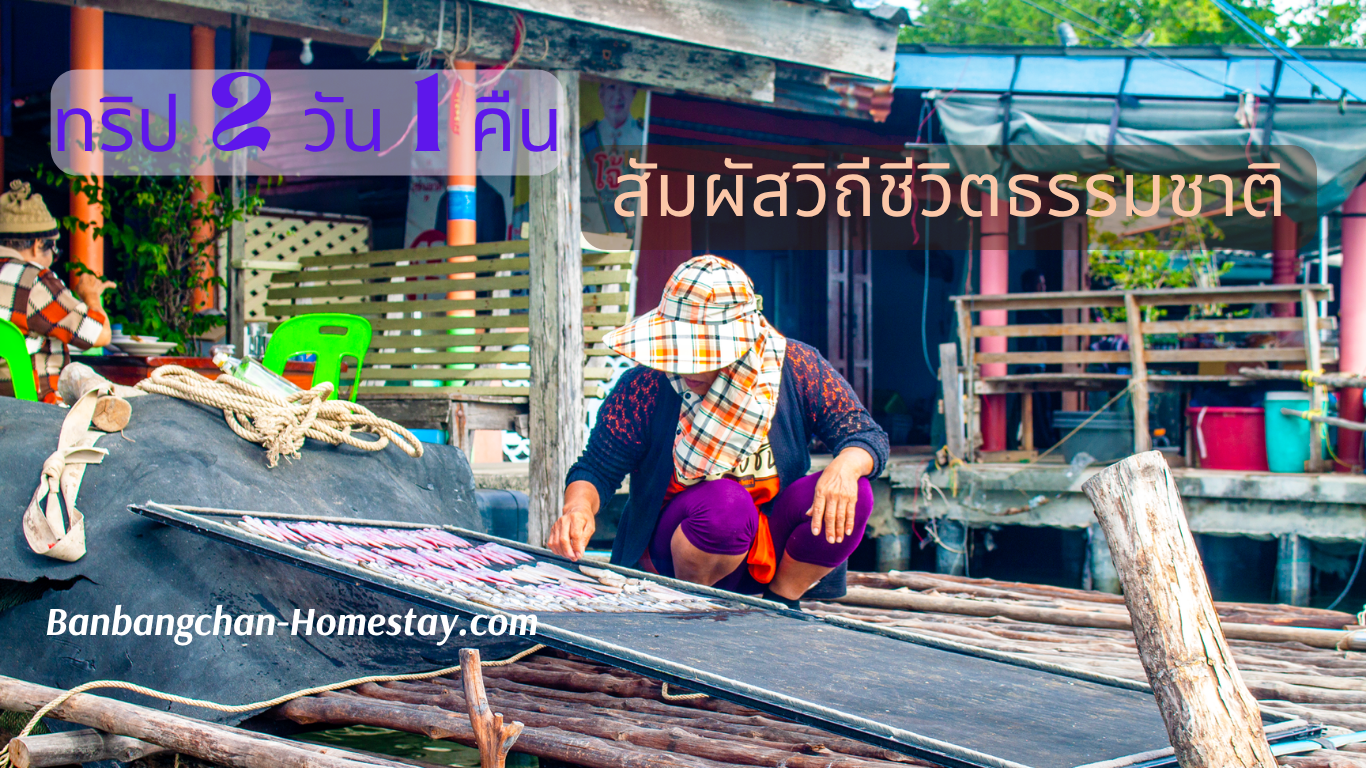 BanBangChan-HomeStay Trip packages